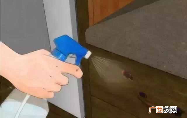 除蟑螂最有效的方法,如何彻底消灭蟑螂