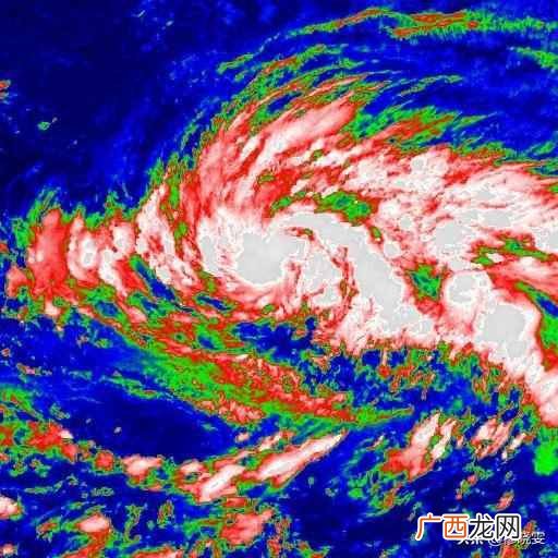 台风最新消息今天,台风最新路径