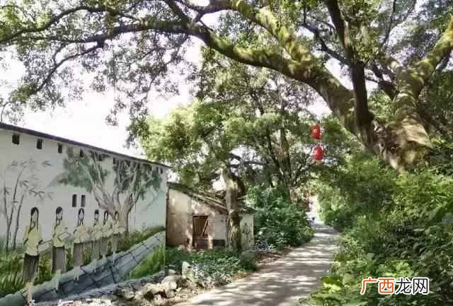 东莞一日游必去的地方,就有一些仿佛置身世外桃源的古村落