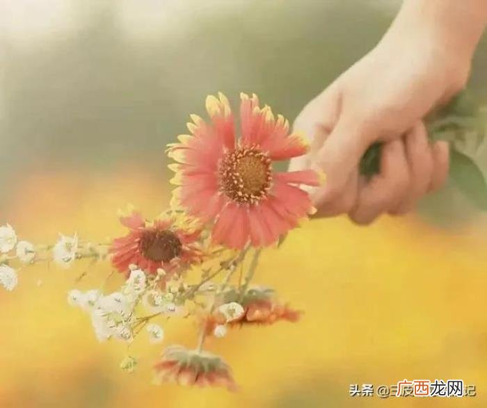 当你丈夫出轨的时候 男人出轨了要不要三方会谈