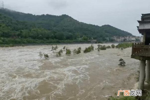 下暴雨为什么会停水下暴雨为什么鱼塘鱼容易死