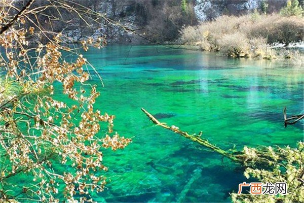 九寨沟在四川哪个城市九寨沟适合哪个季节去