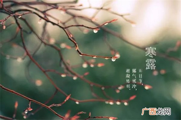 寒露是什么节气寒露会下霜吗