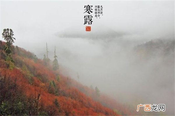 寒露是什么节气寒露会下霜吗