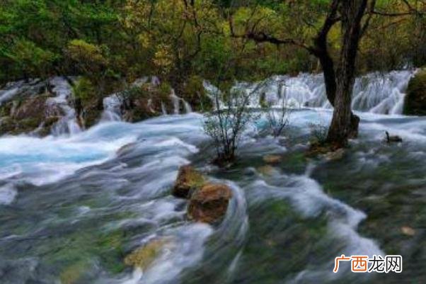 跟团旅游和自由行哪个好跟团旅游可以中途自己走吗