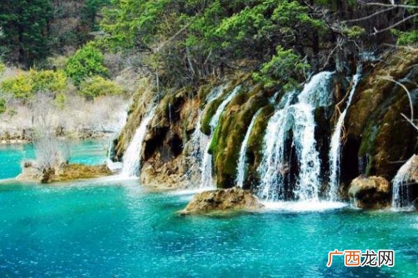 跟团旅游和自由行哪个好跟团旅游可以中途自己走吗