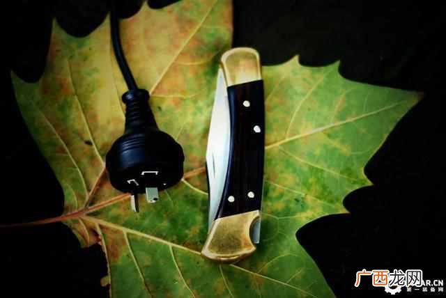 buck110刀款型及价格,buck110刀具历史