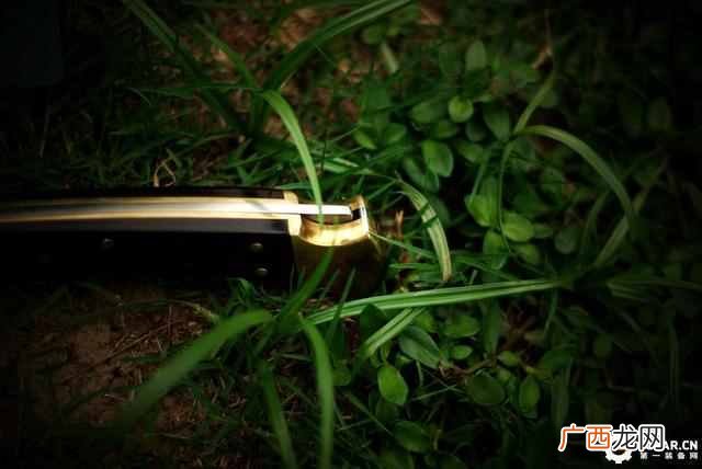 buck110刀款型及价格,buck110刀具历史
