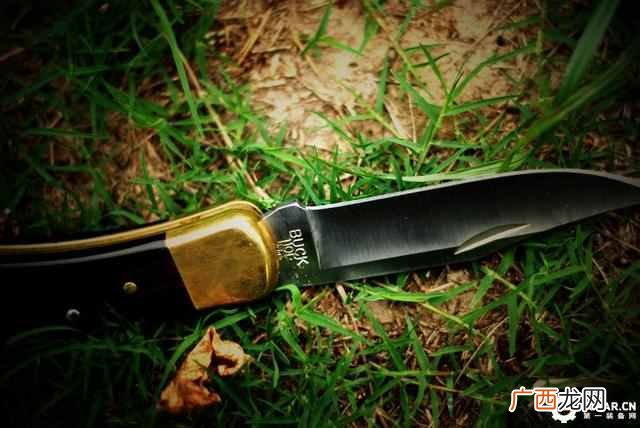 buck110刀款型及价格,buck110刀具历史