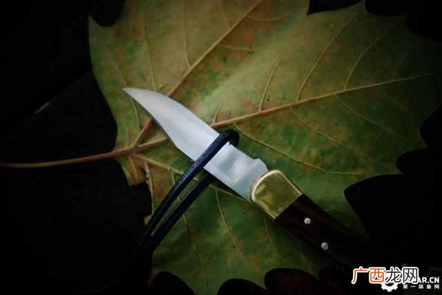 buck110刀款型及价格,buck110刀具历史