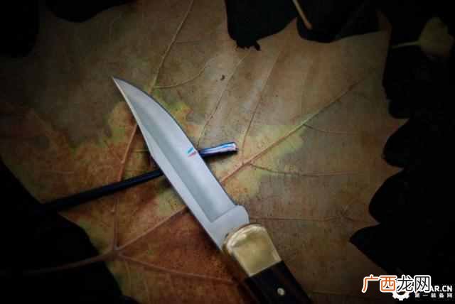 buck110刀款型及价格,buck110刀具历史