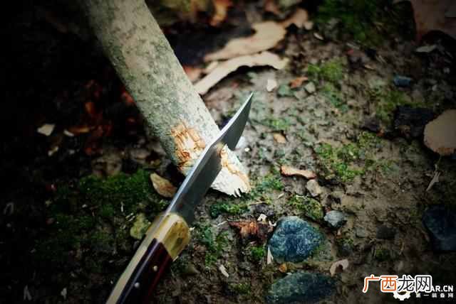 buck110刀款型及价格,buck110刀具历史