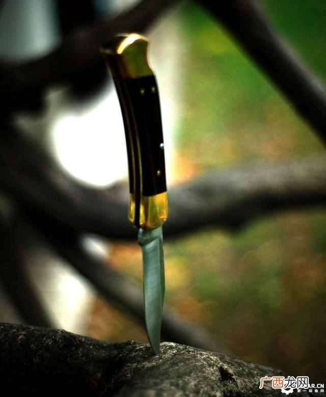 buck110刀款型及价格,buck110刀具历史