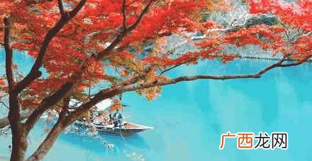 日本东京深度游攻略,其实日本有很多地方都非常适合深度游