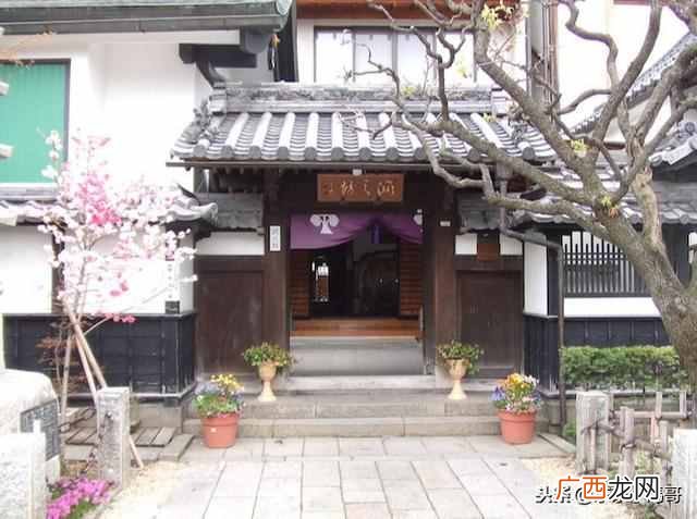 日本东京深度游攻略,其实日本有很多地方都非常适合深度游