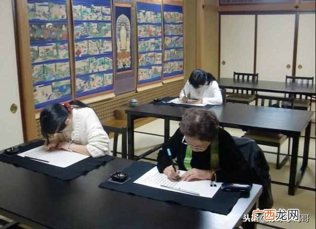 日本东京深度游攻略,其实日本有很多地方都非常适合深度游