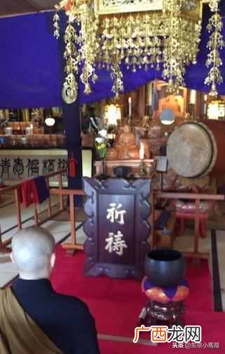 日本东京深度游攻略,其实日本有很多地方都非常适合深度游