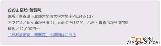 日本东京深度游攻略,其实日本有很多地方都非常适合深度游
