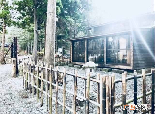 日本东京深度游攻略,其实日本有很多地方都非常适合深度游