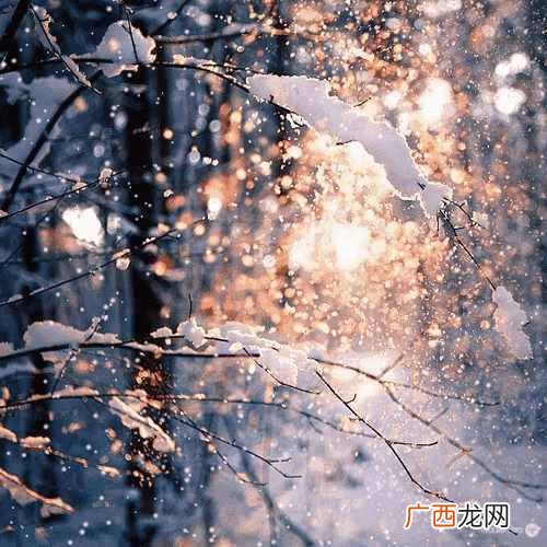 国外音乐排行榜,国外歌曲排行榜前十名