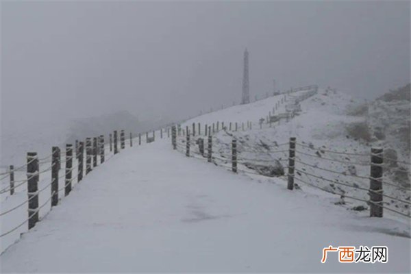 下雪一般是在什么节气下雪是什么时候