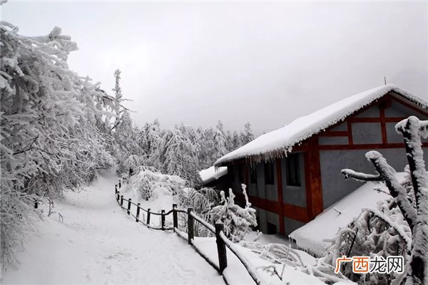 下雪一般是在什么节气下雪是什么时候