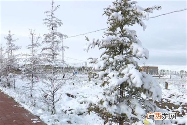 降雪需要什么条件降雪一般达到多少度