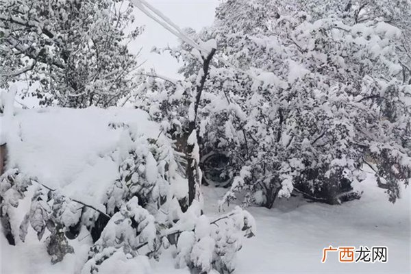 降雪需要什么条件降雪一般达到多少度