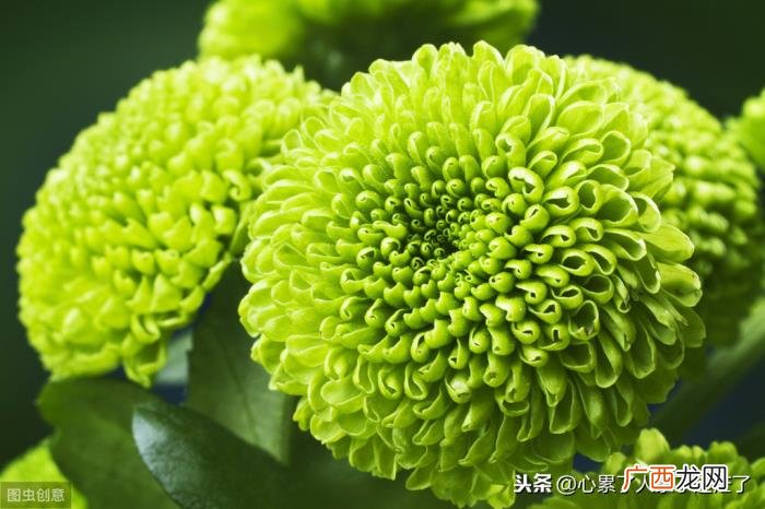 简单生活才是幸福生活 知足才幸福平凡的句子