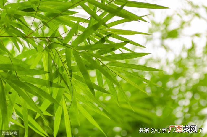 简单生活才是幸福生活 知足才幸福平凡的句子