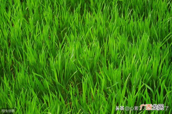 简单生活才是幸福生活 知足才幸福平凡的句子
