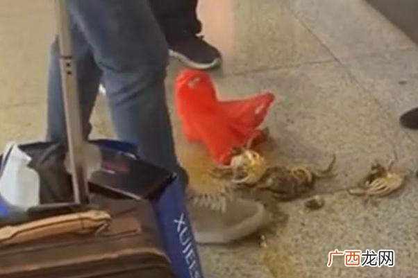 螃蟹可以带上高铁吗螃蟹为什么不能带上高铁