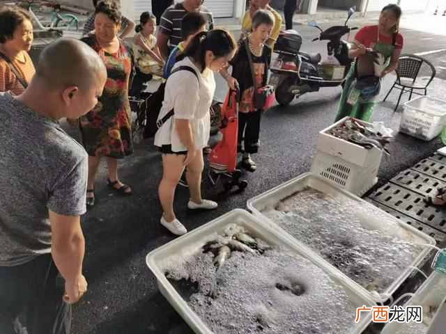 成都海鲜批发市场进货渠道,价格实惠的海鲜让客户流连忘返