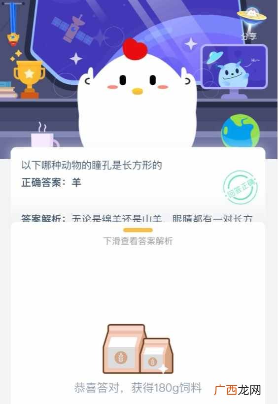 蚂蚁庄园5月28日正确答案一览 羊和小鸡哪种动物的瞳孔是长方形的