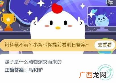 以下哪种动物的瞳孔是长方形的？蚂蚁庄园5月28日今日答案正确答案