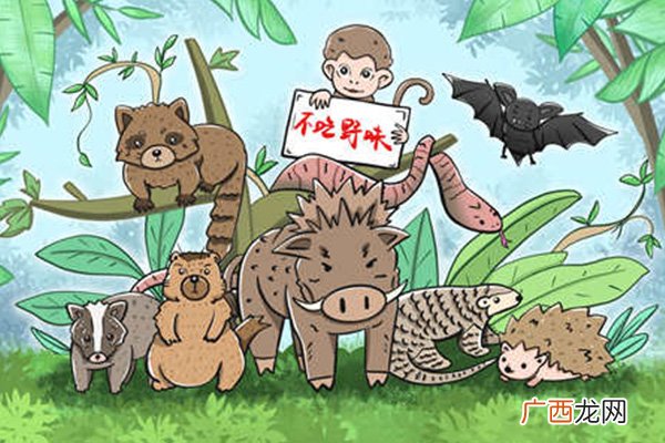 野味指的是什么野味的危害