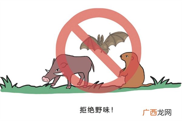 野味指的是什么野味的危害