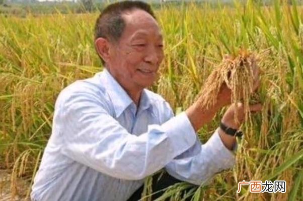 世界粮食日是每年的几月几日世界粮食日的意义
