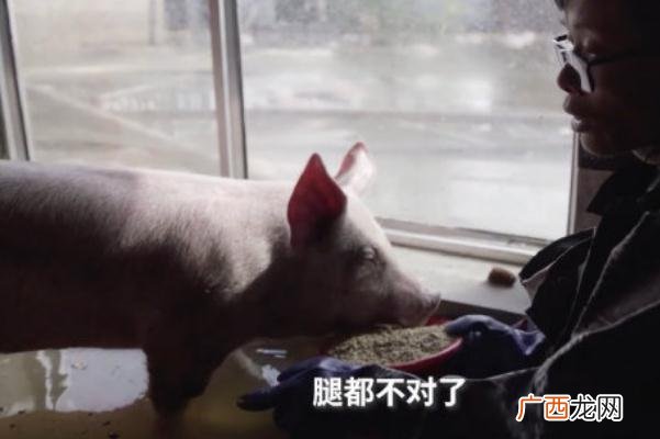 洪灾会造成什么为什么洪涝灾害后会有瘟疫