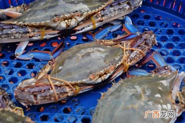 海鲜有营养吗海鲜有保质期吗