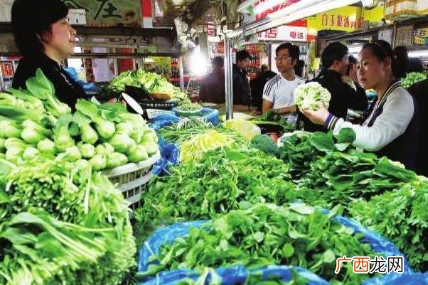 蔬菜是植物类吗蔬菜是酸性还是碱性食物