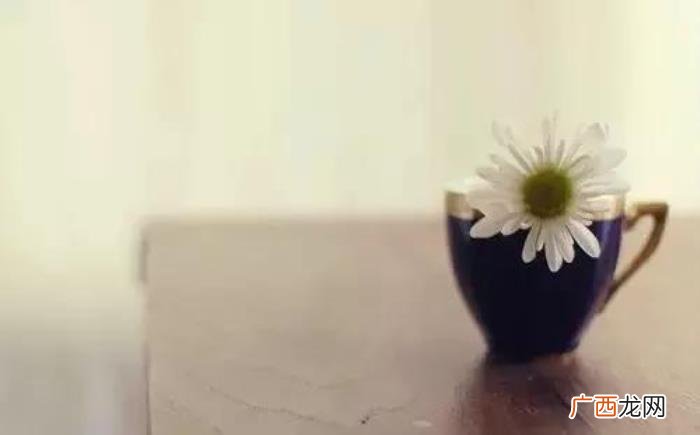 女孩子不理我该说什么，当女人不理你的时候