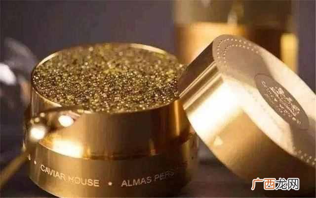 世界上最昂贵的十大美食，你见过几种