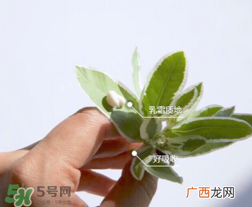 城野医生377有副作用吗？城野医生377用了脸痒是什么原因？