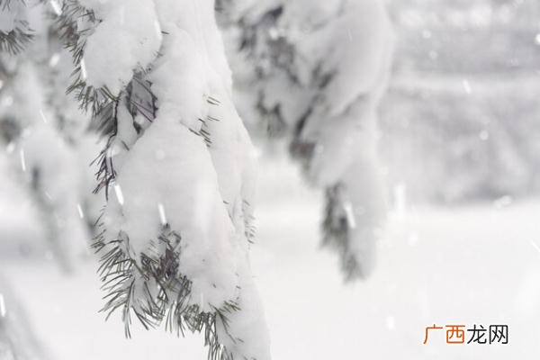 降雪是怎么形成的降雪46小时通辽积雪深度破纪录