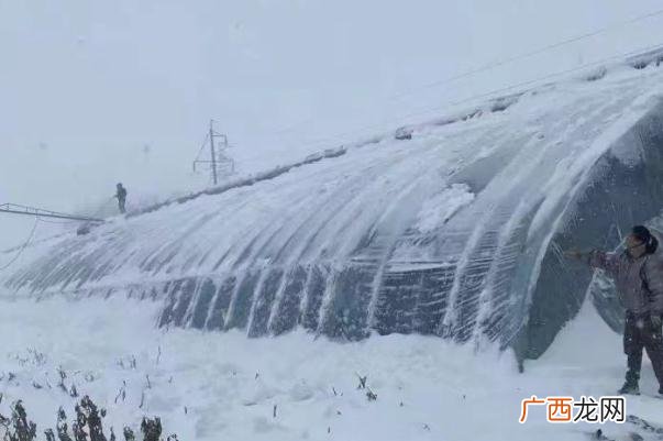 暴风雪的危害有哪些极寒暴风雪冰封通辽