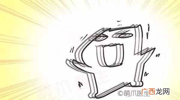狗狗癫痫发作该怎么办？