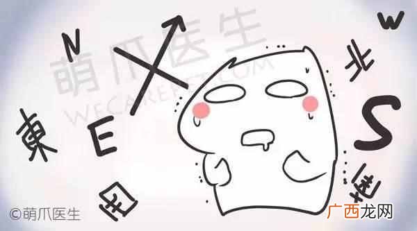 狗狗癫痫发作该怎么办？