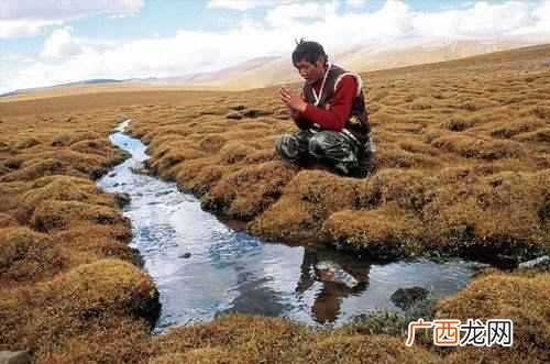 黄河的源头终于被找到了,仅碗口大小,为何人们不能靠近?