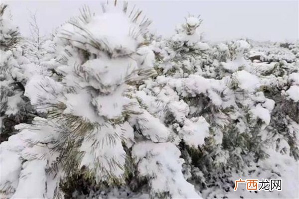 强寒潮是什么意思强寒潮是在打脸全球变暖吗